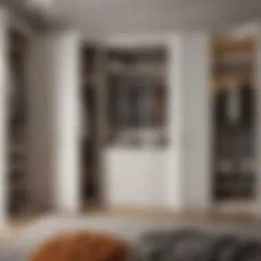 Functional Wardrobe Layout Elegant Wardrobe Organization