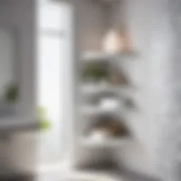 Elegant White Corner Shelving