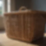 Elegant Woven Basket for Laundry Storage Elegant Woven Basket for Laundry Storage