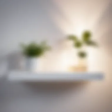 Modern White Floating Shelf with Botanical Accents Sleek white floating shelf with botanical accents