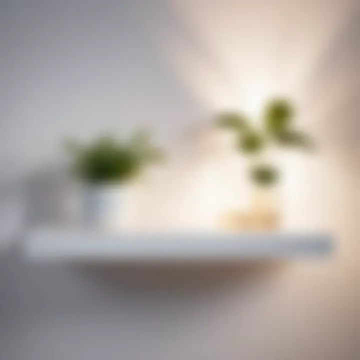 Modern White Floating Shelf with Botanical Accents Sleek white floating shelf with botanical accents