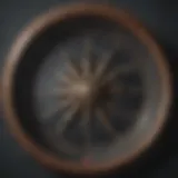 Nautical compass wall art