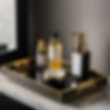 Chic Black & Gold Tray Design Minimalist black and gold accessory tray with toiletries