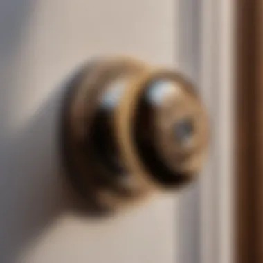 Chic Minimalist Closet Knob Sleek Minimalist Closet Knob