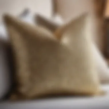 Coastal Accent Pillows Coastal Chic Decorative Accent Pillows