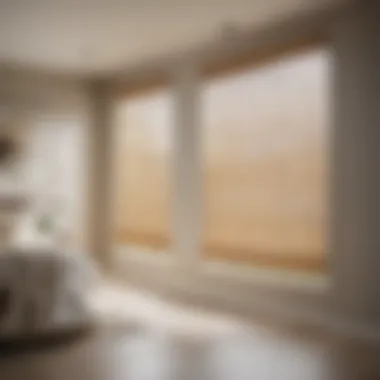 Sleek Bamboo Blinds in Laundry Room