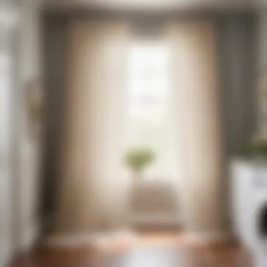 Elegant Sheer Drapery in Laundry Room