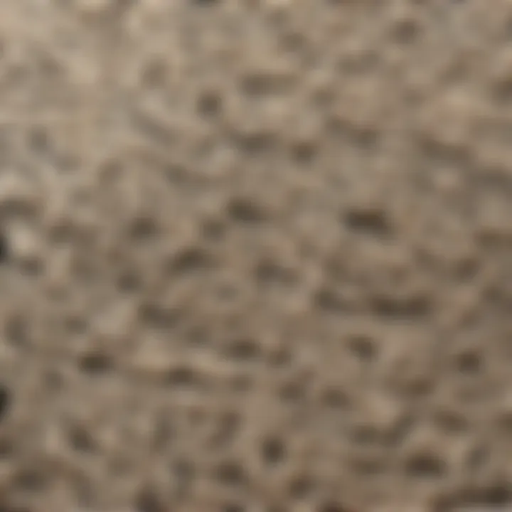 Luxurious Cream and Black Bath Mat Texture Close-Up
