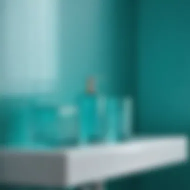 Chic Tiffany Blue Bathroom Accessories