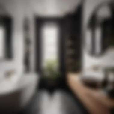 Minimalist black and white small bathroom decor