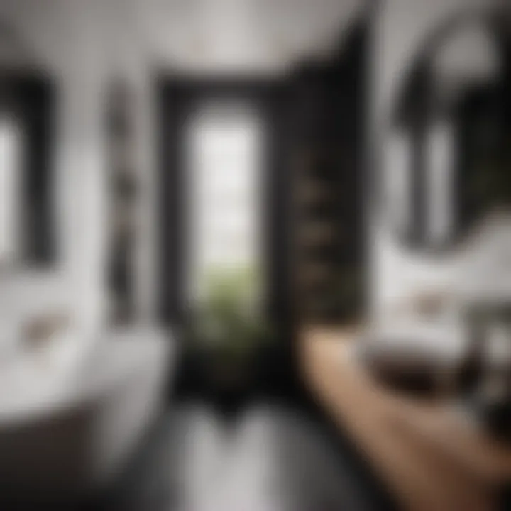 Minimalist black and white small bathroom decor