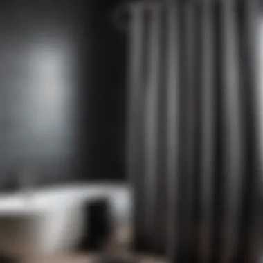 Sleek Monochrome Shower Curtain Design Sleek Monochrome Shower Curtain Design