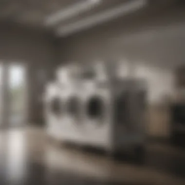 Maximizing Efficiency with Elevated Laundry Carts Versatile elevated laundry cart in a well-organized utility space