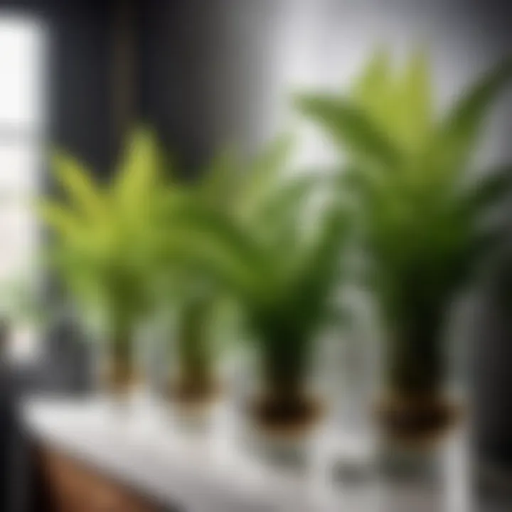 Luxurious bathroom with ferns in glass containers
