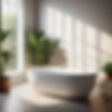 Minimalist bathroom with potted plant near the bathtub