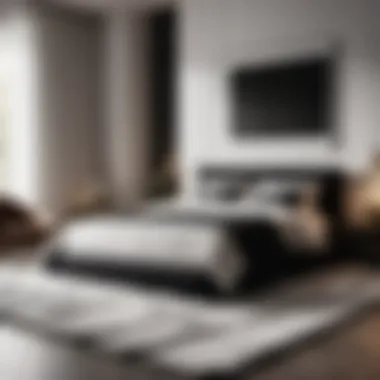 Minimalist monochrome rug in bedroom