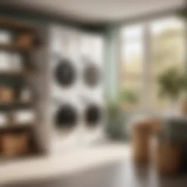 Structured Space Brilliance Organized Laundry Space Showcase