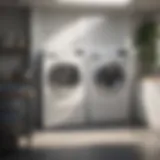 Restored Freshness in Laundry Fresh laundry without moldy odors
