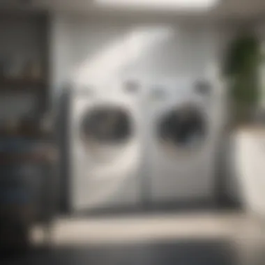 Restored Freshness in Laundry Fresh laundry without moldy odors