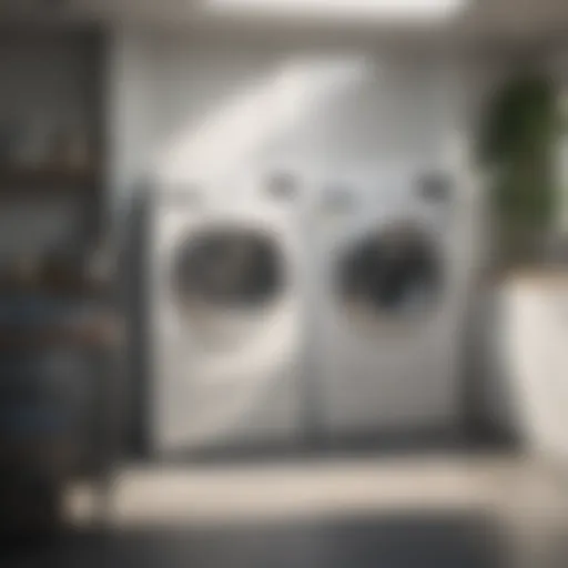 Restored Freshness in Laundry Fresh laundry without moldy odors