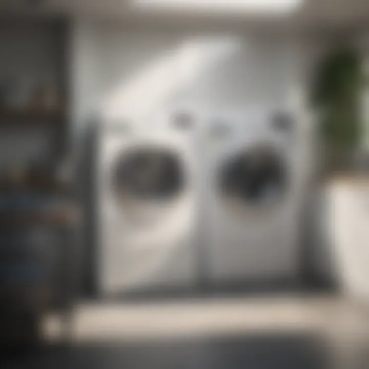 Restored Freshness in Laundry Fresh laundry without moldy odors