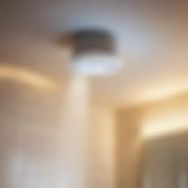 Energy-efficient bath fan features