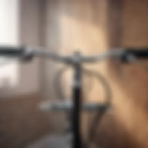 Enhance Bathroom Safety with Stylish Handlebars
