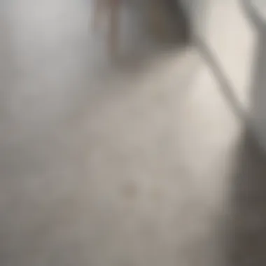 Close-up of textured non-slip porcelain floor tile in a bathroom