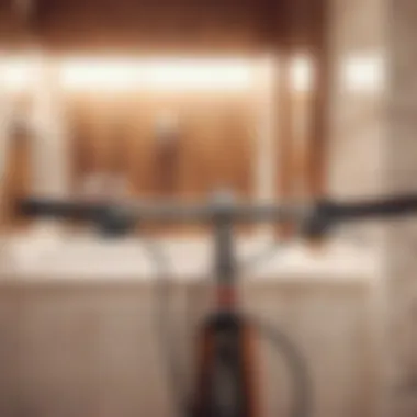 Enhancing Independence with Bathroom Handlebars