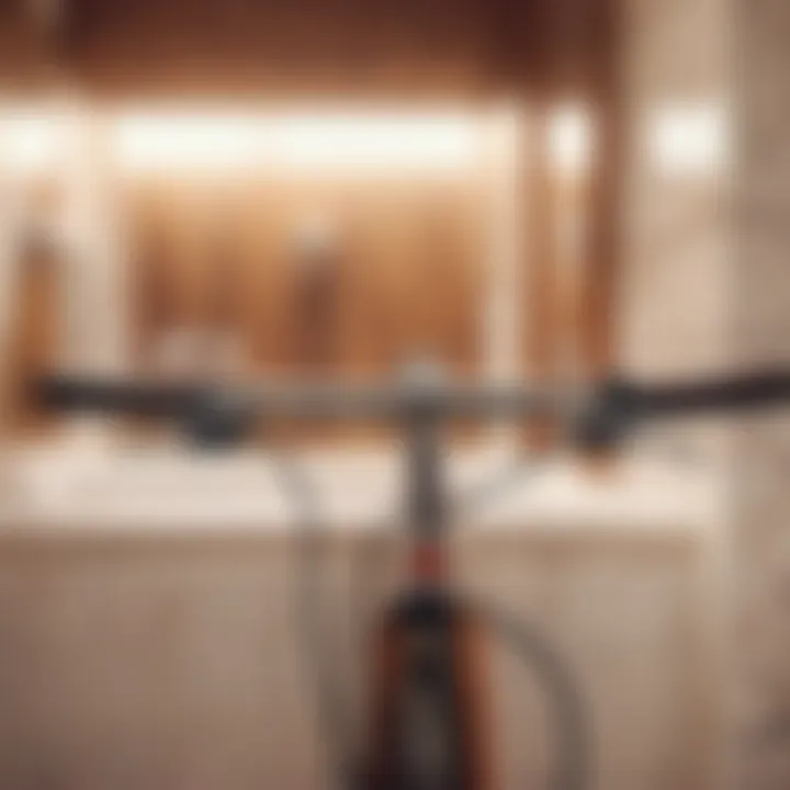 Enhancing Independence with Bathroom Handlebars