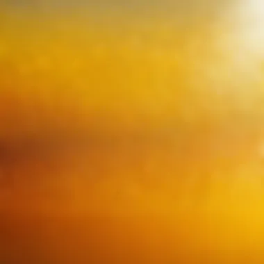 Close-up of high-quality window tint material