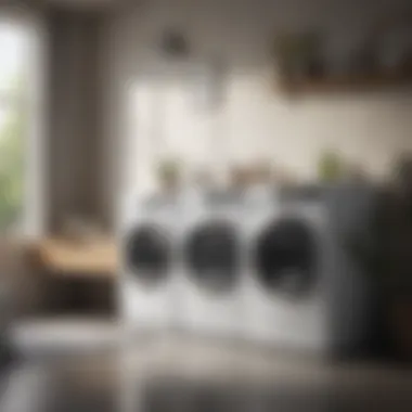 Modern Washing Machine and Dryer Setup Modern washing machine and dryer setup