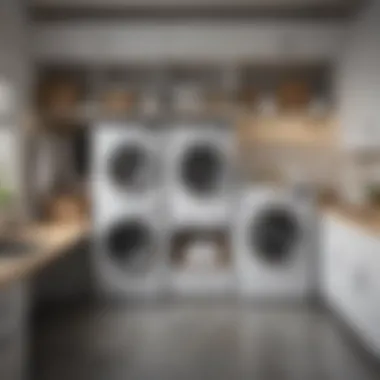 Organized Storage Solutions in Laundry Room Organized laundry room showcasing storage solutions