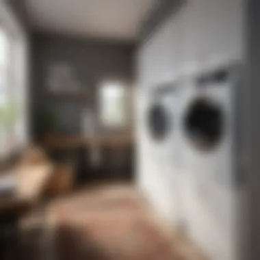 Stylish and Functional Laundry Room Stylish laundry room with aesthetic appeal and functionality