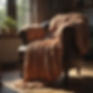Cozy Throw Blanket on Armchair Cozy Throw Blanket on Armchair