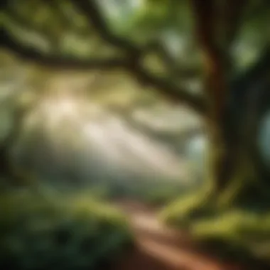 Enchanted Arboreal Haven Ethereal Forest Canopy