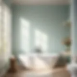 Ethereal Whisper - Bathroom Paint Color