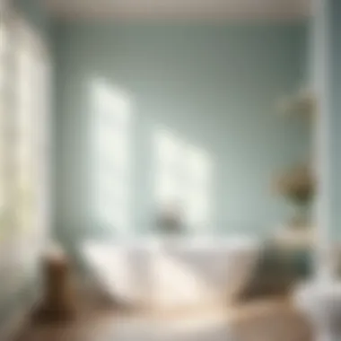 Ethereal Whisper - Bathroom Paint Color