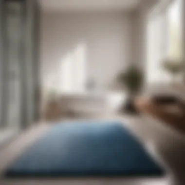 Installing Heated Bathroom Mat in Modern Bathroom Installing heated bathroom mat in modern bathroom