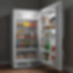 Compact refrigerator designed for bedroom use