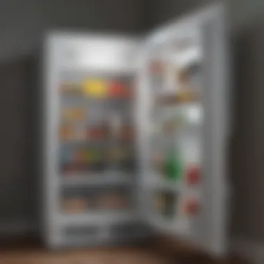 Compact Refrigerator for Bedroom Spaces Compact refrigerator designed for bedroom use