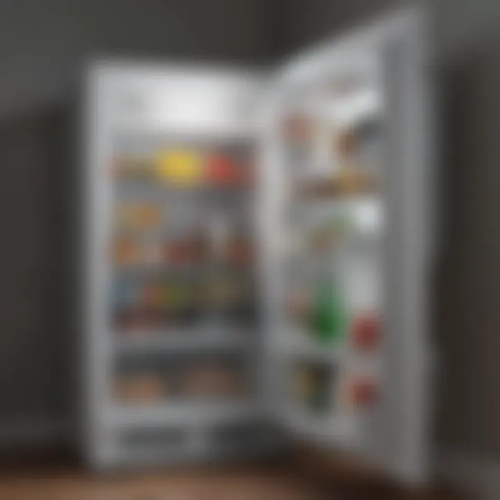 Compact Refrigerator for Bedroom Spaces Compact refrigerator designed for bedroom use