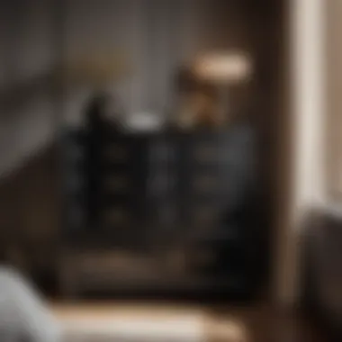 Functional Benefits Organized black dresser showcasing storage solutions in a stylish bedroom