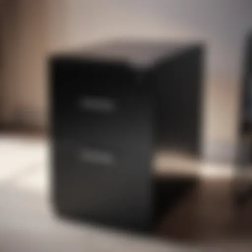 Modern minimalist file cabinet in sleek black finish