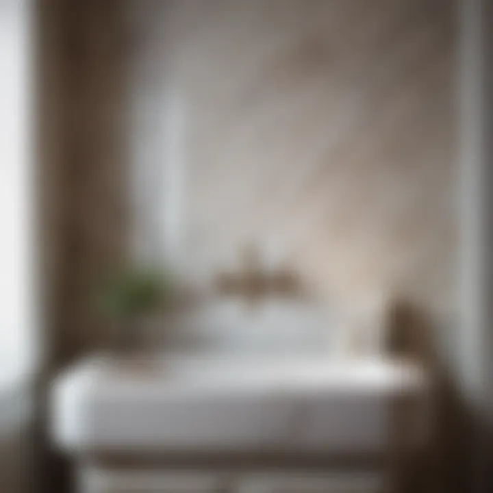 Marble backsplash highlighting antique laundry sink