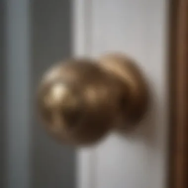 Close-up of various materials used in bedroom lever door knobs