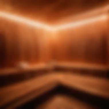 Invigorating Steam Experience Close-up of steam rising in a modern steam sauna bath