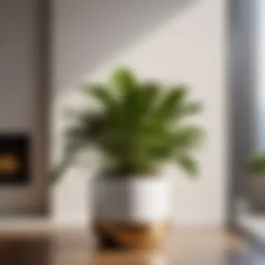 Contemporary Elegance: Indoor Plant in a Sleek Planter Indoor Plant in Modern Planter