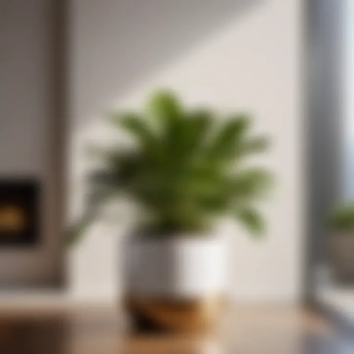 Contemporary Elegance: Indoor Plant in a Sleek Planter Indoor Plant in Modern Planter