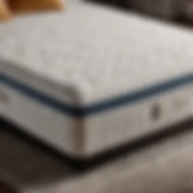 Spine Aligning Memory Foam Mattress Memory Foam Mattress for Spinal Alignment